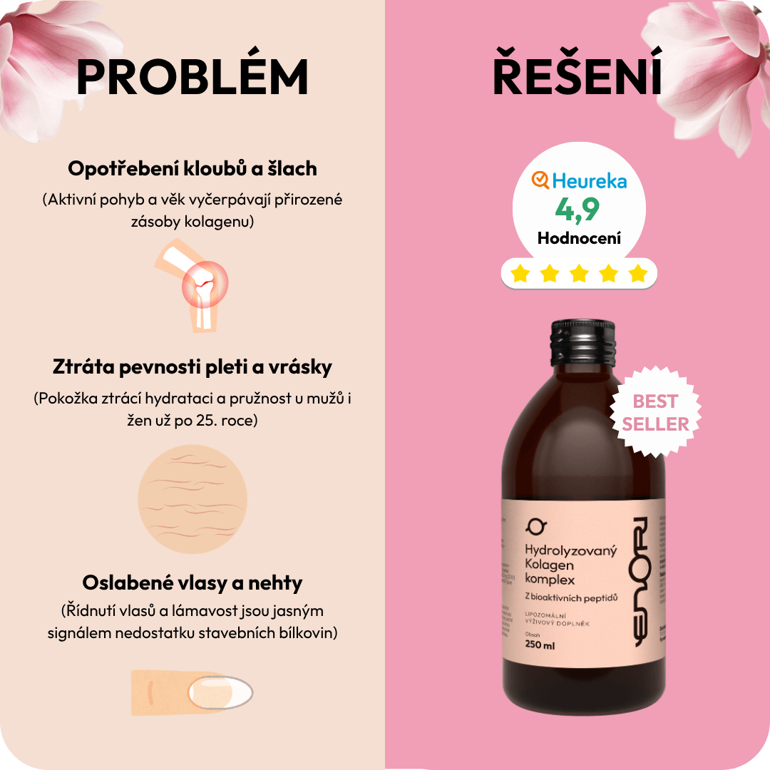 Kolagen 3 CZ